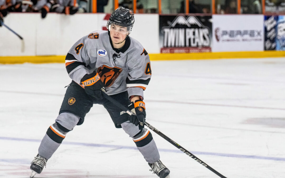 Hasselgren Scores Twice, Warriors Fall to Ice Wolves 6-3