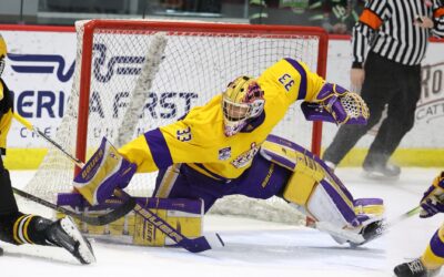 Warriors Tender Goaltender Kyle Jones