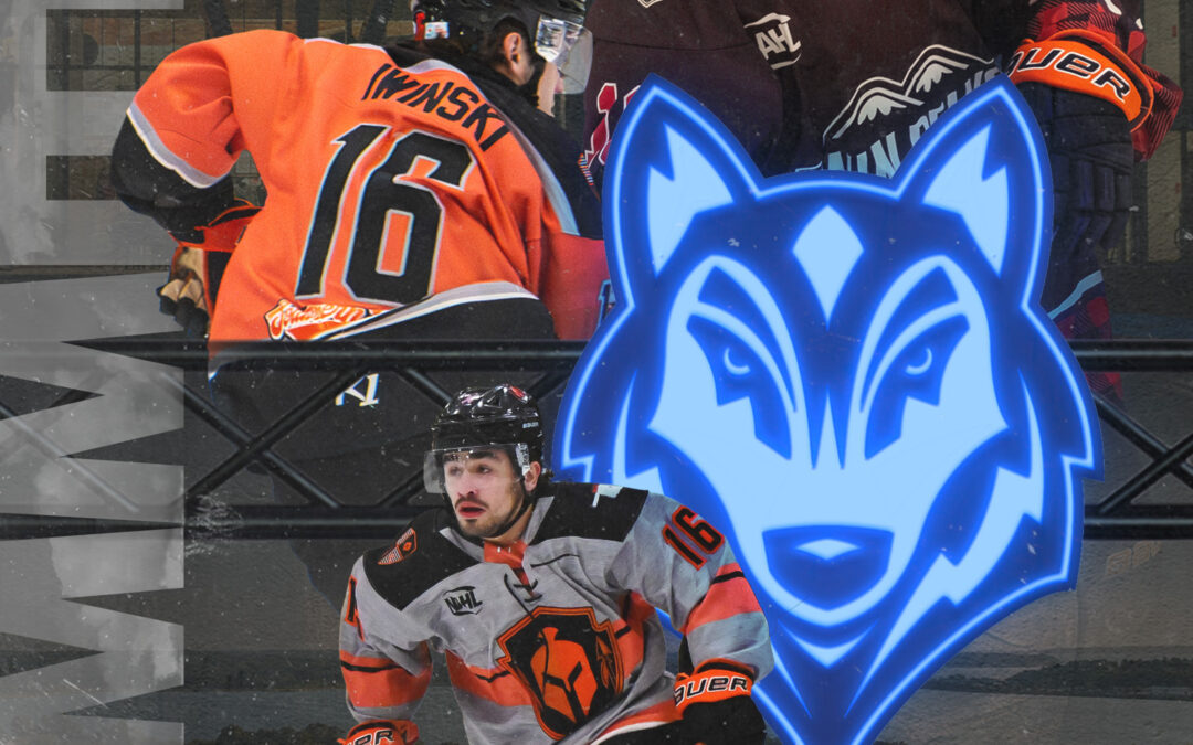 WARRIOR FORWARD IWINSKI COMMITS TO UNIVERSITY OF SOUTHERN MAINE