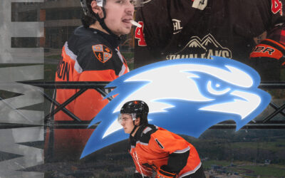 WARRIORS DEFENSEMAN TRENT BURLISON COMMITS TO CONCORDIA UNIVERSITY WISCONSIN