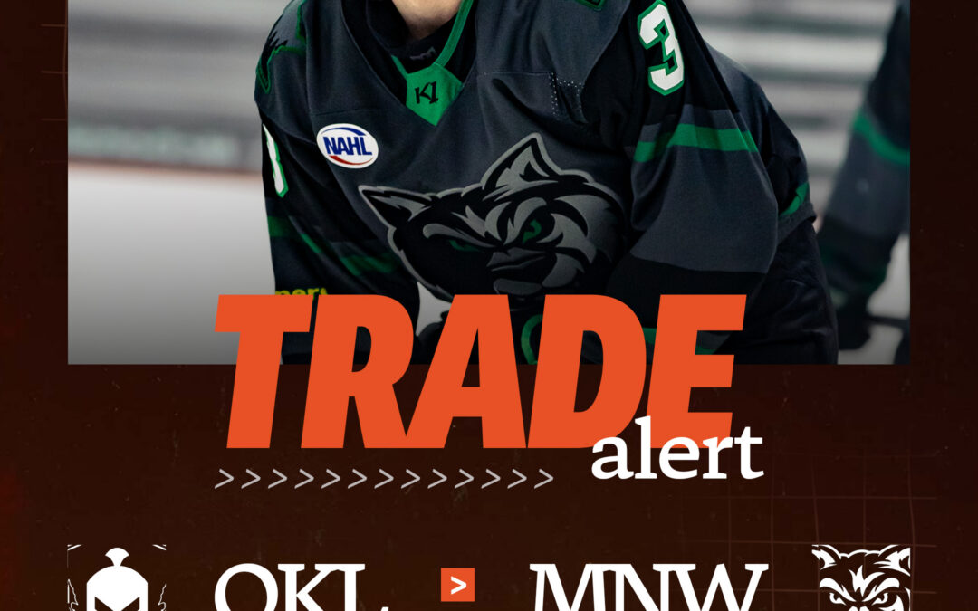 WARRIORS ACQUIRE FORWARD AVENIR BELOUS FROM WILDERNESS