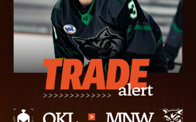 WARRIORS ACQUIRE FORWARD AVENIR BELOUS FROM WILDERNESS